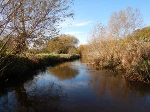 Mehr Biodiversität, weniger Überschwemmungen: Warum ein Gewässerunterhaltungsplan so wichtig ist 2